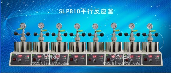 供应SLP810高压釜江苏加氢反应釜