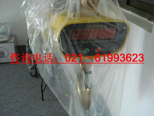 供应2吨耐高温吊磅,20吨直视耐高温吊称,
