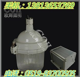 供应NFE9112 防眩应急泛光灯 分体式的泛光灯