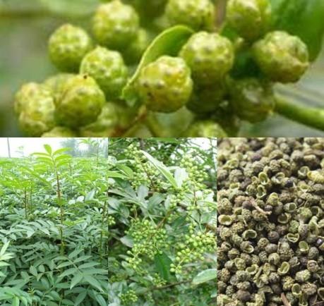 重庆干花椒，重庆青花椒，重庆垫江影泽批发销售干花椒