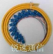 供应锐速厂家供应SC12芯束状尾纤厂家特别推荐