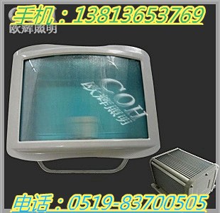 供应NSE9720 防眩应急通路灯