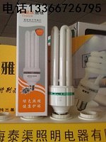 电子节能灯