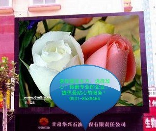 甘肃LED电子显示屏制作 0931-8538464 LED全彩显示屏