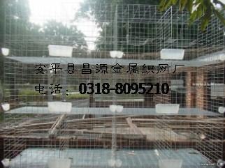 供应鸽笼，三层十二位鸽笼，鸽笼厂家，鸽笼价格，鸽笼规格