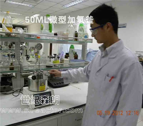 供应上海50ML微型加氢釜/高压反应器