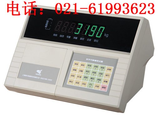 供应耀华电子地磅，耀华显示器