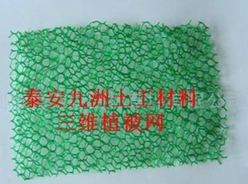 厂家植草三维植被网，固土三维植被网，绿化植被专用网垫，九洲供