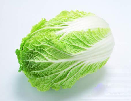 河南商丘大白菜