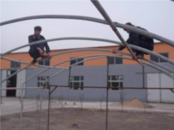 【金牌推荐】冬暖式蔬菜大棚建设/日光温室大棚建设-寿光市辰骏