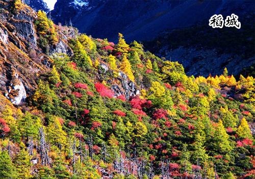 重庆旅行社中的重庆中亚国际旅行社推荐稻城亚丁动车七日游