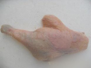 供应批发进口冷冻畜禽鹅舌整鹅鹅翅鹅腿鹅胗鹅爪鹅肫