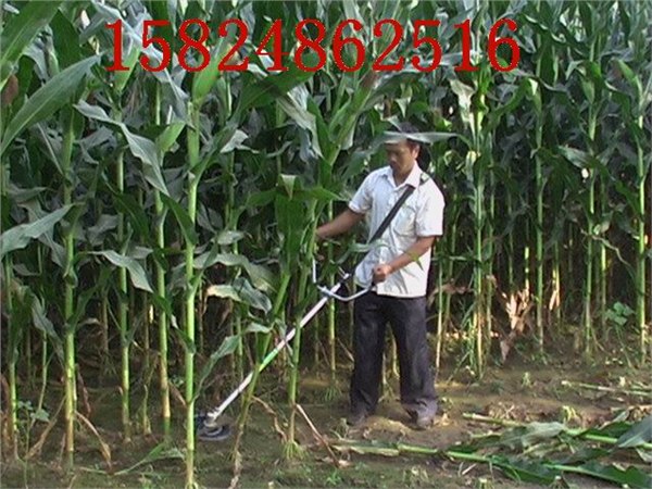 供应小型玉米收割机 玉米收割机图片 玉米收割机批发
