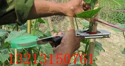 供应河南葡萄绑枝机 园艺绑蔓器价格 植物绑枝器