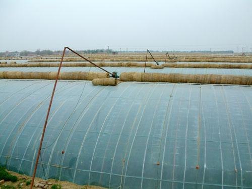 【特惠】卷帘机|新型大棚卷帘机|大棚卷帘机厂家-寿光建发温室