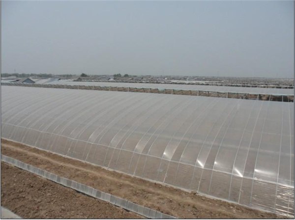 建造蔬菜大棚，冬暖式蔬菜大棚，冬暖式温室工程，智能温室建设