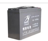 [电动车蓄电池，山东电动车蓄电池]武士电池