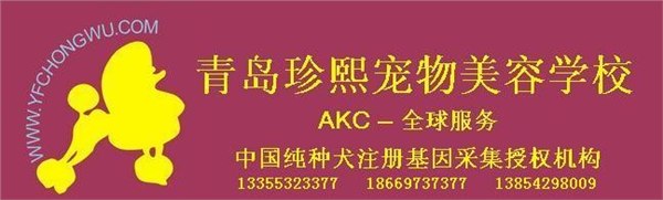 青岛宠物美容学习  宠物美容师培训学校 珍熙