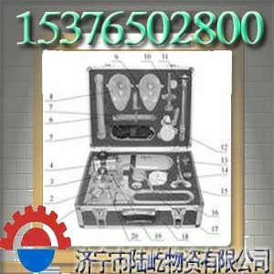 供应MZS-30自动苏生器供应，SZ1.0/20苏生器价格，陆屹自动苏生器，