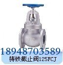 供应进口铸铁截止阀125FCJ，北泽蒸汽铸铁截止阀，日本蒸汽法兰截止阀现货