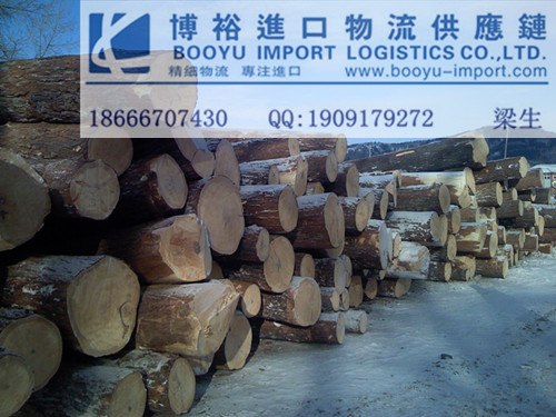 供应铁刀木进口报关流程单证费用