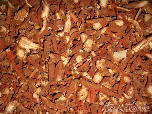 寿光最好的航天丹参种苗首选寿光市凯瑞蔬菜专业合作社