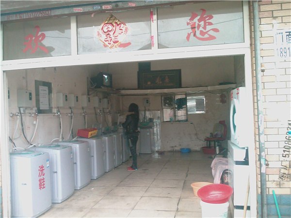 供应丽水金华义乌波尔小天鹅不锈内筒投币洗衣机销售全国联保送货上门