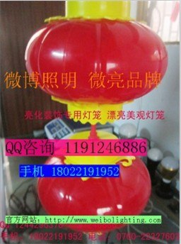 供应节日嘉年华喜庆LED红红灯笼/制造商