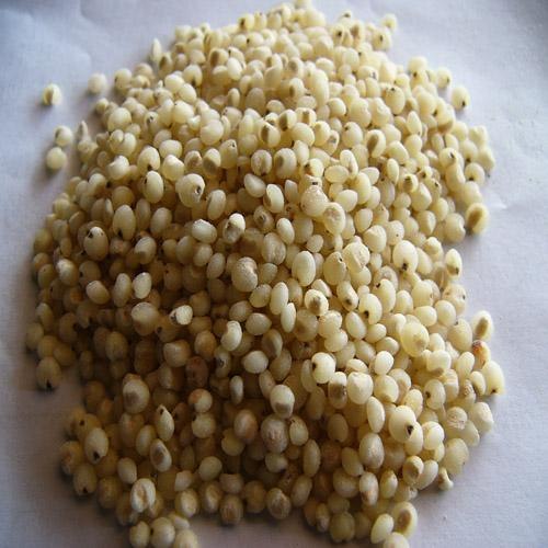 哪里有高粱米  好质量的高粱米  高粱米哪里找到豫兰