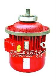 ZD31-4锥形电机