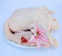 供应批发羊副猪副牛副鸡副鸭副鹅副