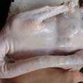 供应冷冻整鹅鹅腿鹅内鹅爪鹅舌