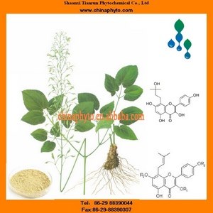 供应淫羊藿提取物淫羊藿甙淫羊藿素
