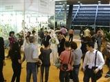 预订113届春季广交会节庆用品产品展位
