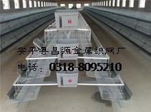 鸡笼厂家供应：蛋鸡笼，肉鸡笼，鸡笼价格。