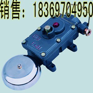 供应多功能BAL1-127G矿用隔爆型声光组合电铃