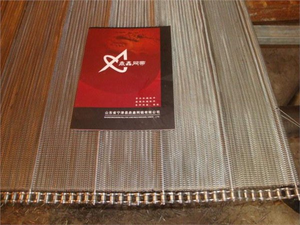 热处理网带烧结炉网带 鼎鑫热处理网带烧结炉网带专卖