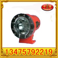 供应矿用隔爆型机车灯 矿用灯 矿用隔爆型LED机车灯