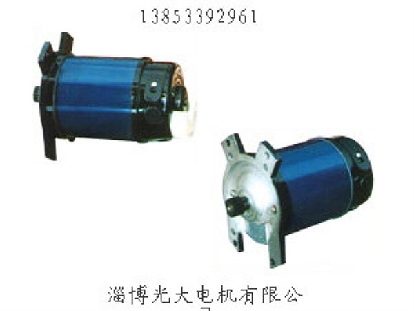 55ZYT54,55ZYT51，直流微型电机
