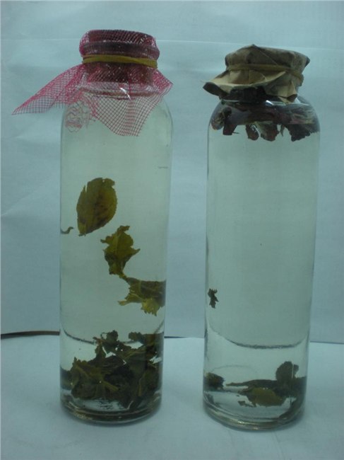 330毫升冷泡茶玻璃瓶、上海冷泡茶玻璃瓶、上海奶茶玻璃瓶