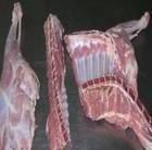 供应批发乌拉圭234羔羊排，批发羊棒骨厂家价格