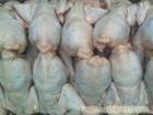 供应美国冷冻食品批发老母鸡，冷冻食品批发童子鸡