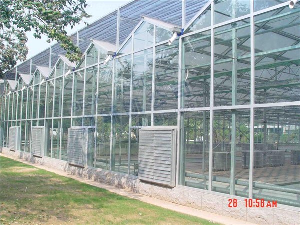 山东高标准蔬菜温室建造基地/简易大棚建设首选寿光润泽