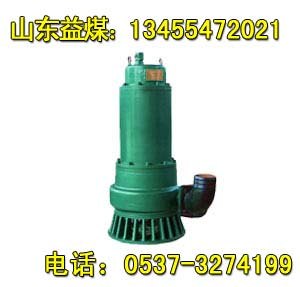 供应BQS防爆排沙排污泵，BQS污水泵，BQS潜水泵
