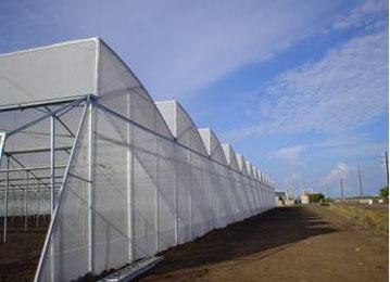 寿光最好的新型养殖棚建设 禽畜舍建设厂家-寿光盛鑫