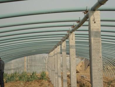 【首选】蔬菜温室大棚建设成本|冬暖式大棚建设--寿光宏图塑钢