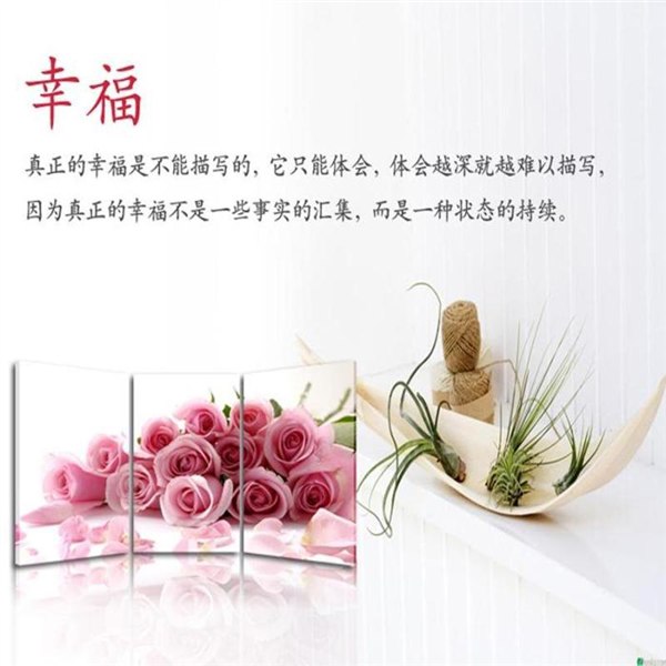 好看的装饰画 福州市区哪里卖装饰画 装饰画的种类