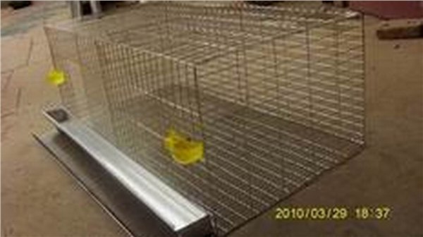 节梯式鹧鸪笼