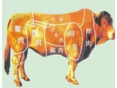 供应冷冻带鱼 尤鱼 干贝 干海参 干鲍鱼 干鱿鱼 干虾