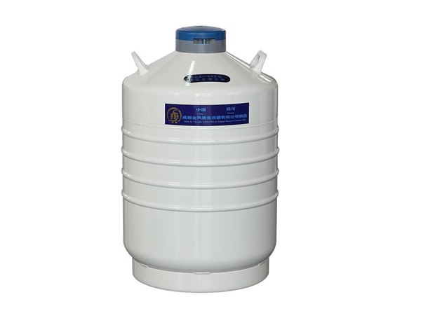 运输型液氮罐